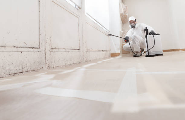 24/7 Emergency Attic Mold Remediation experts in Partlow, VA
