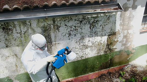 Top rated local Attic Mold Remediation specialists in Partlow, VA